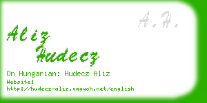 aliz hudecz business card